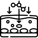 Абсорбатори