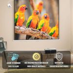 Jago® Моторизиран прожекционен екран - 178x178 см - Image 4