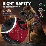 LOVPET® колан за кучета S без дърпане за малки кученца - Image 7