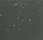 Jago® Прибиращ се параван за външна употреба 500 x 180 см - Image 8