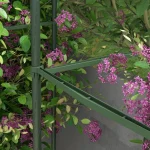 Комплект опори за растения Outsunny от 2 части - Image 9