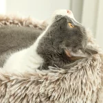 PawHut Дърво за котки, 87 см, Кула за котки - Image 5