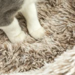 PawHut Дърво за котки, 87 см, Кула за котки - Image 6