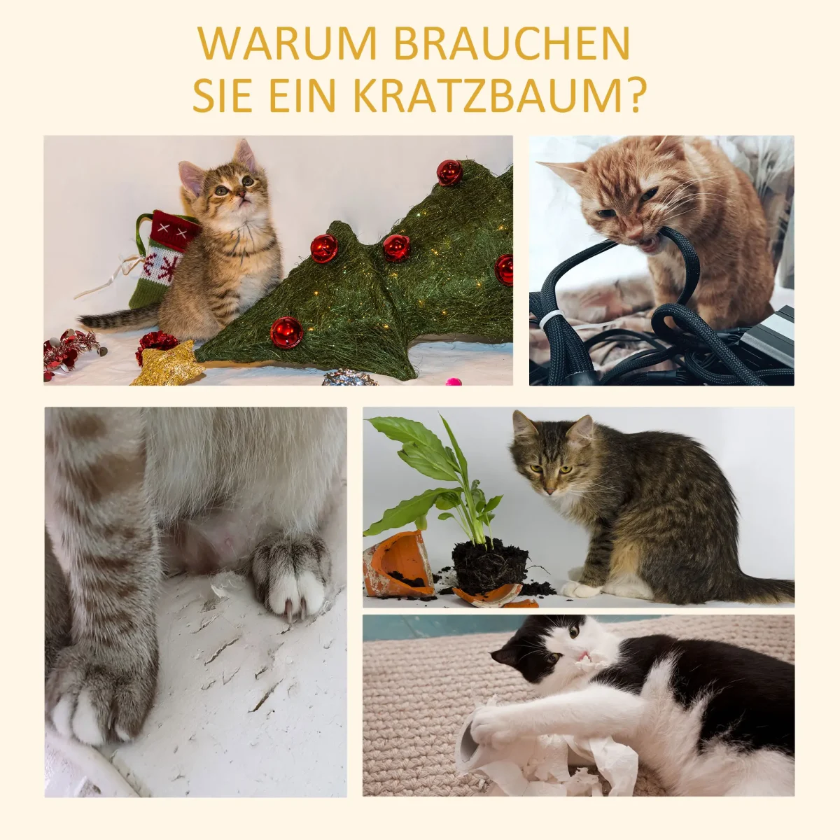 PawHut Дърво за котки с височина до тавана, 228-260 см - Image 9