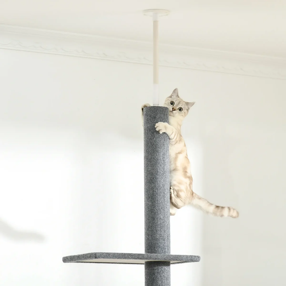 PawHut Дърво за котки с височина до тавана, 228-260 см - Image 2