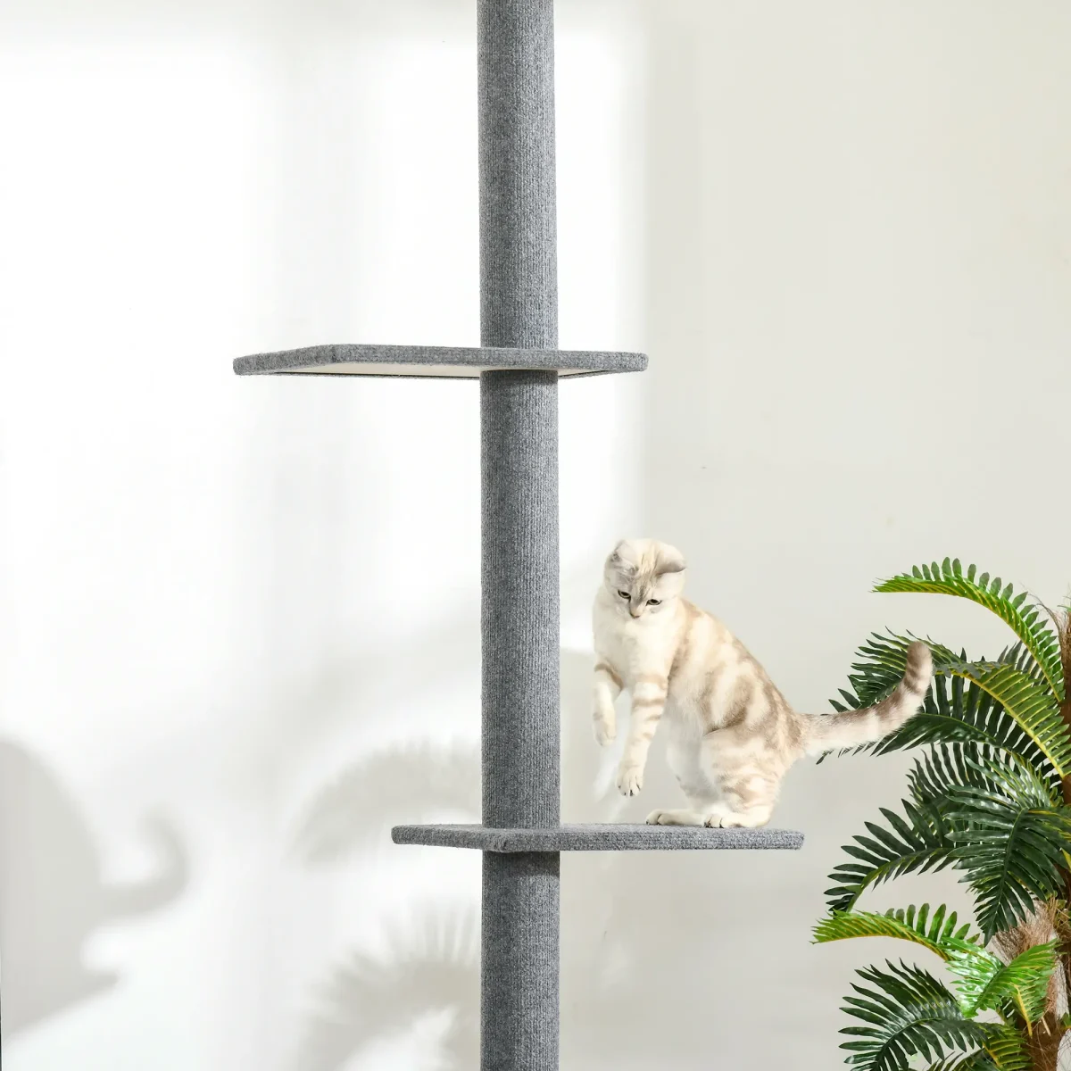 PawHut Дърво за котки с височина до тавана, 228-260 см - Image 5