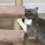 PawHut Стълби за домашни любимци, 3 стъпала, до 5 кг - Image 4