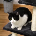 PawHut Дърво за котки 72 см с плюшени топки - Image 7